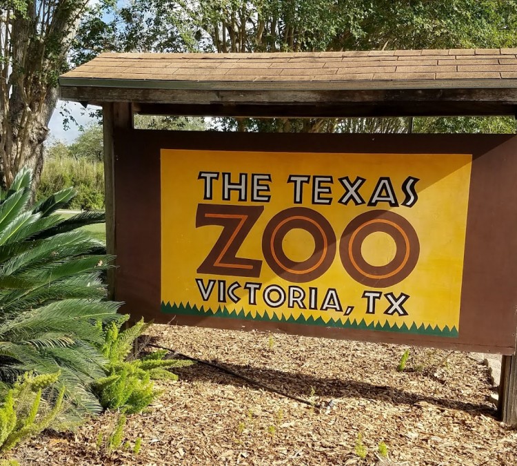the-texas-zoo-photo